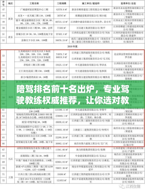 陪驾排名前十名出炉，专业驾驶教练权威推荐，让你选对教练！
