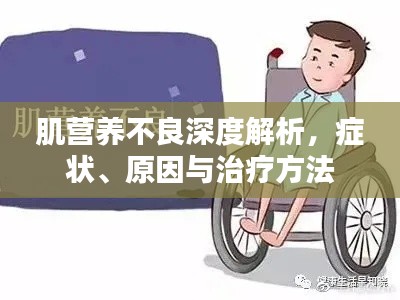 肌营养不良深度解析，症状、原因与治疗方法
