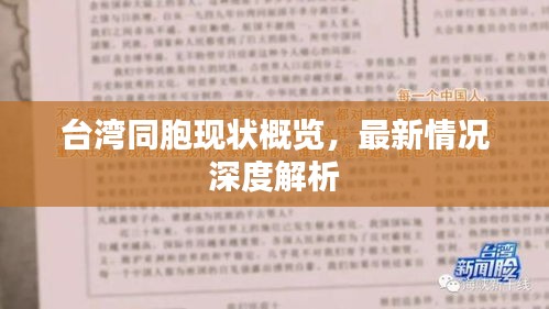台湾同胞现状概览，最新情况深度解析