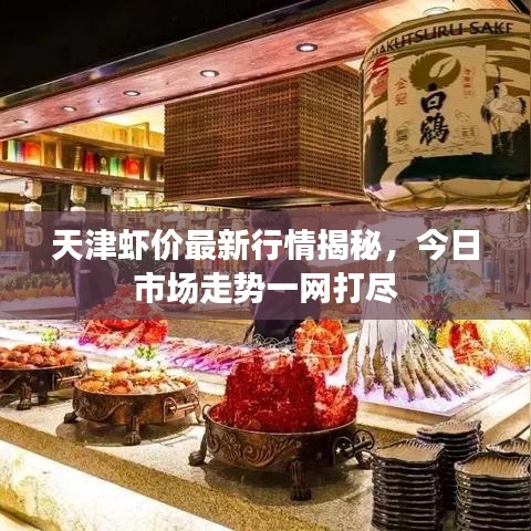 天津虾价最新行情揭秘，今日市场走势一网打尽