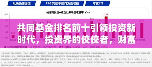 共同基金排名前十引领投资新时代，投资界的佼佼者，财富增长的领头羊