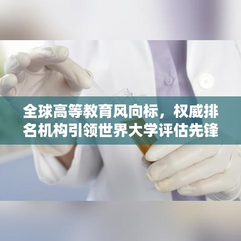 2025年6月5日