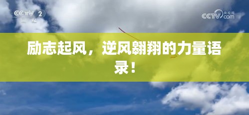 2025年6月6日