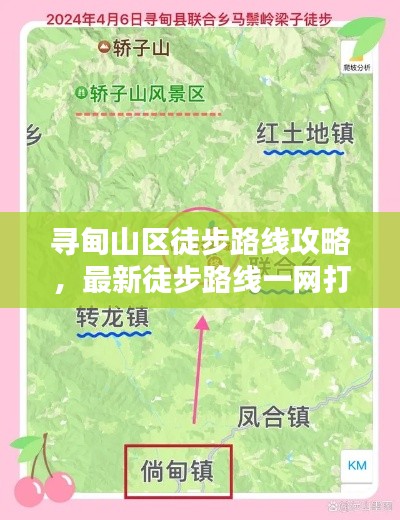 2025年6月8日 第5页