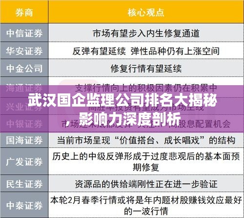 武汉国企监理公司排名大揭秘，影响力深度剖析