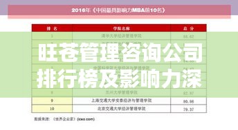 旺苍管理咨询公司排行榜及影响力深度解析