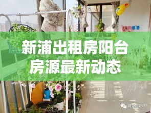 新浦出租房阳台房源最新动态