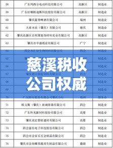 慈溪税收公司权威排名榜单揭晓！