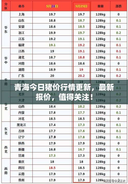 青海今日猪价行情更新，最新报价，值得关注！