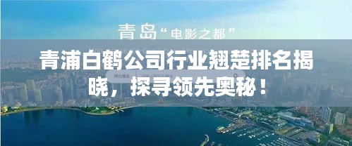 青浦白鹤公司行业翘楚排名揭晓，探寻领先奥秘！