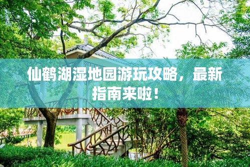 仙鹤湖湿地园游玩攻略，最新指南来啦！