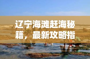 辽宁海滩赶海秘籍，最新攻略指南来啦！
